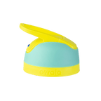 Replacement Lids
