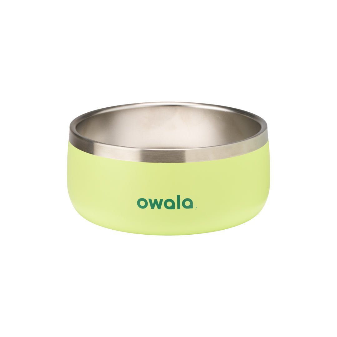 Pet Bowl Custom