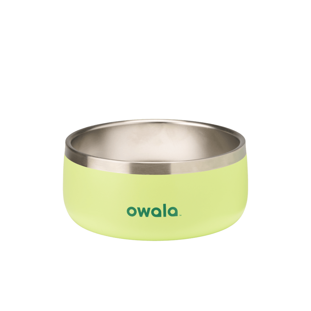 Pet Bowl Custom