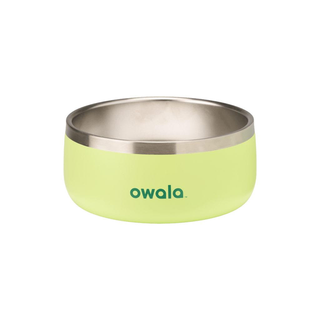 Pet Bowl Custom