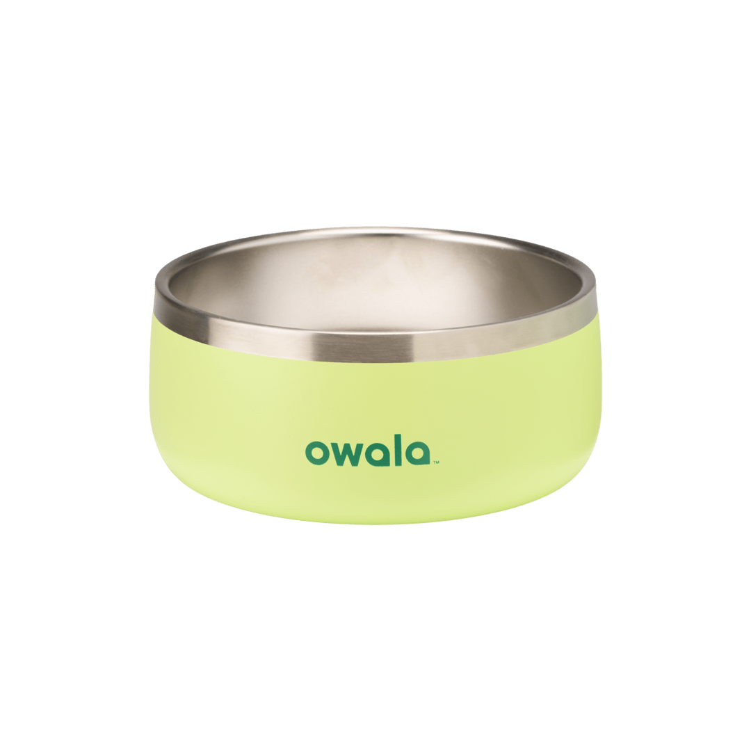 Pet Bowl Custom