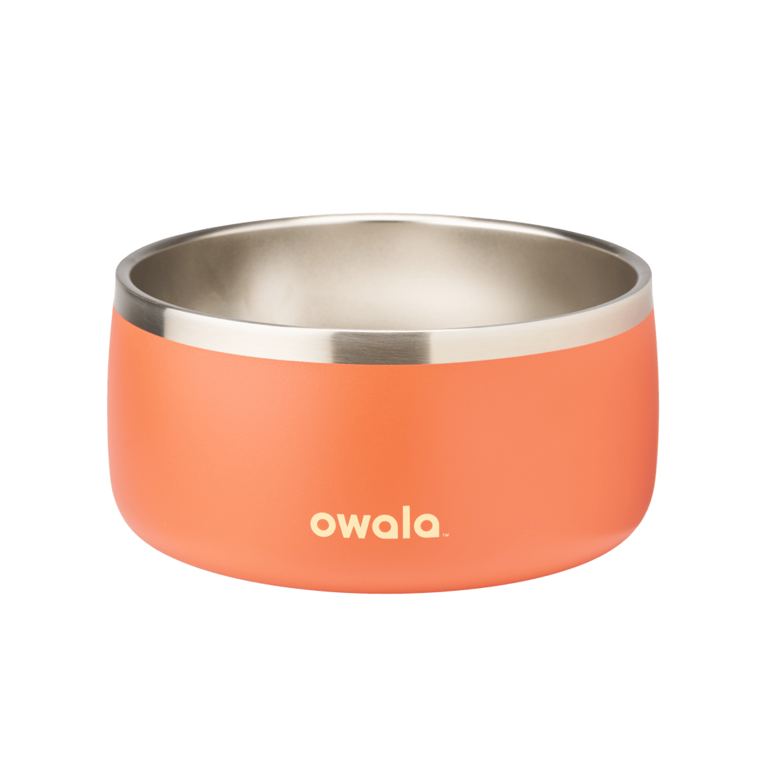 Pet Bowl Custom