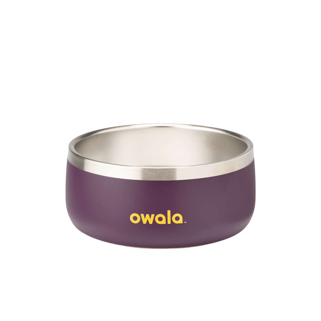 Pet Bowl Custom
