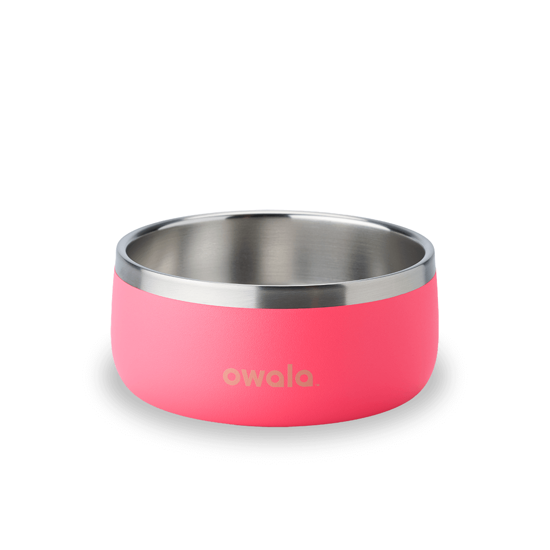 Pet Bowl Custom