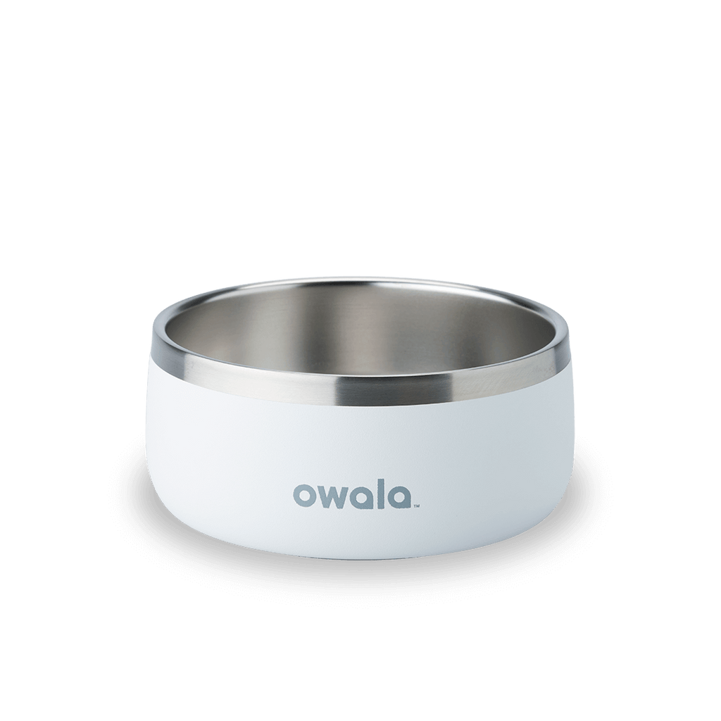 Pet Bowl Custom