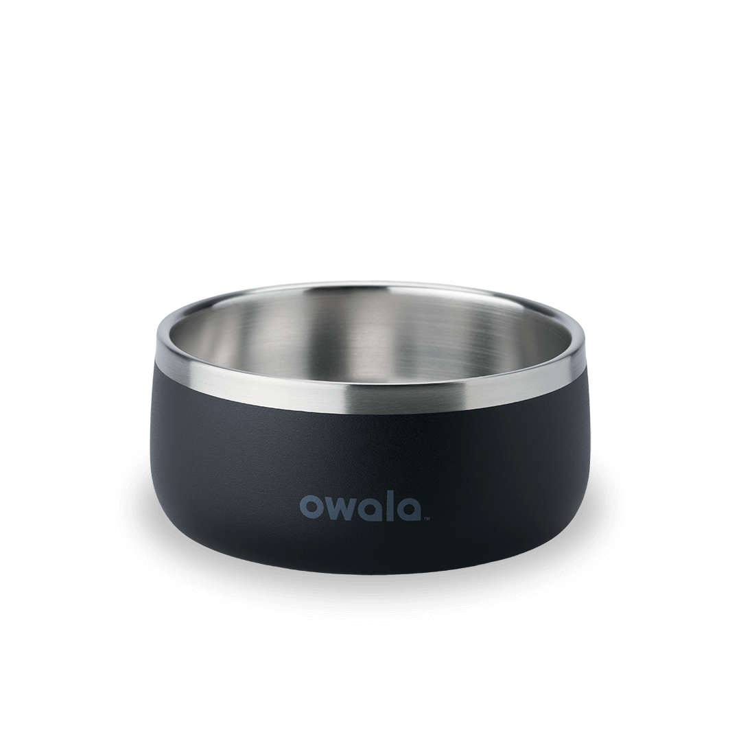 Pet Bowl Custom