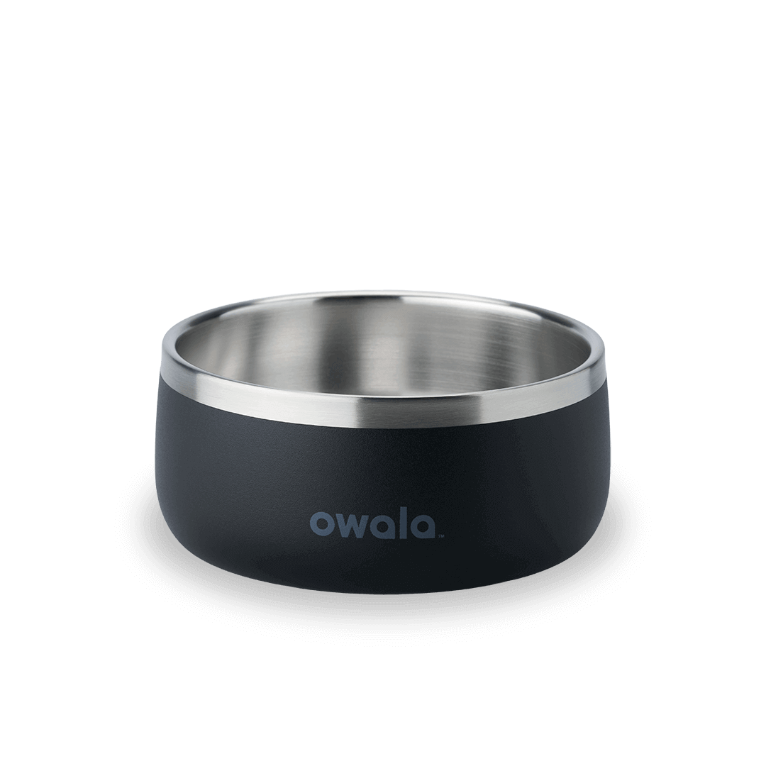 Pet Bowl Custom