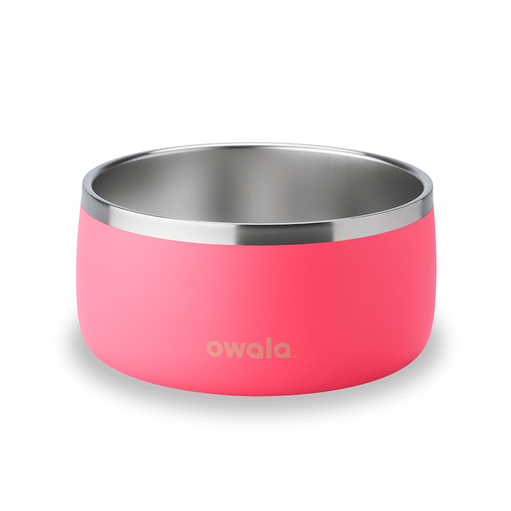 Pet Bowl Custom