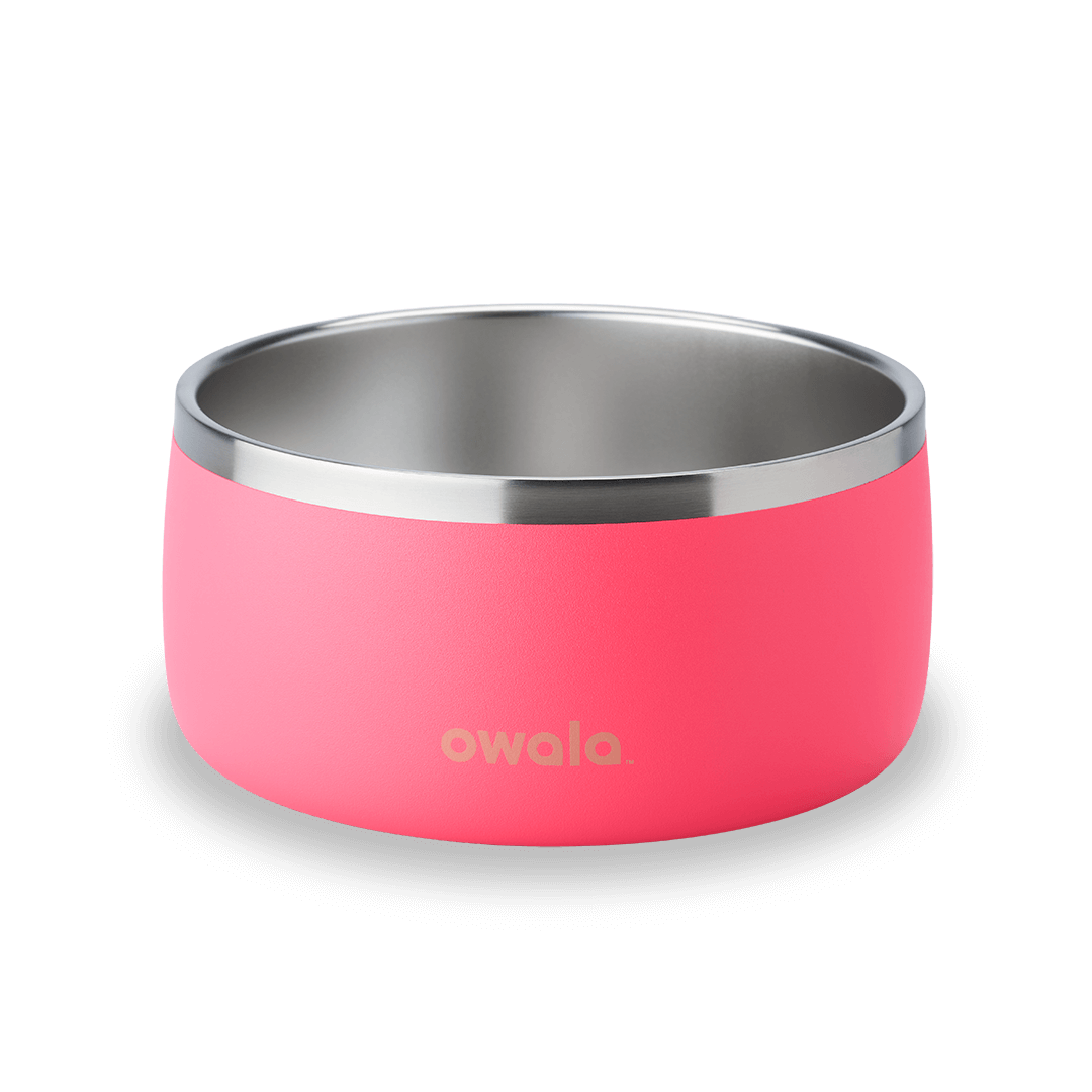 Pet Bowl Custom