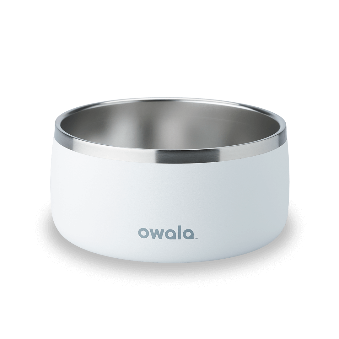 Pet Bowl Custom