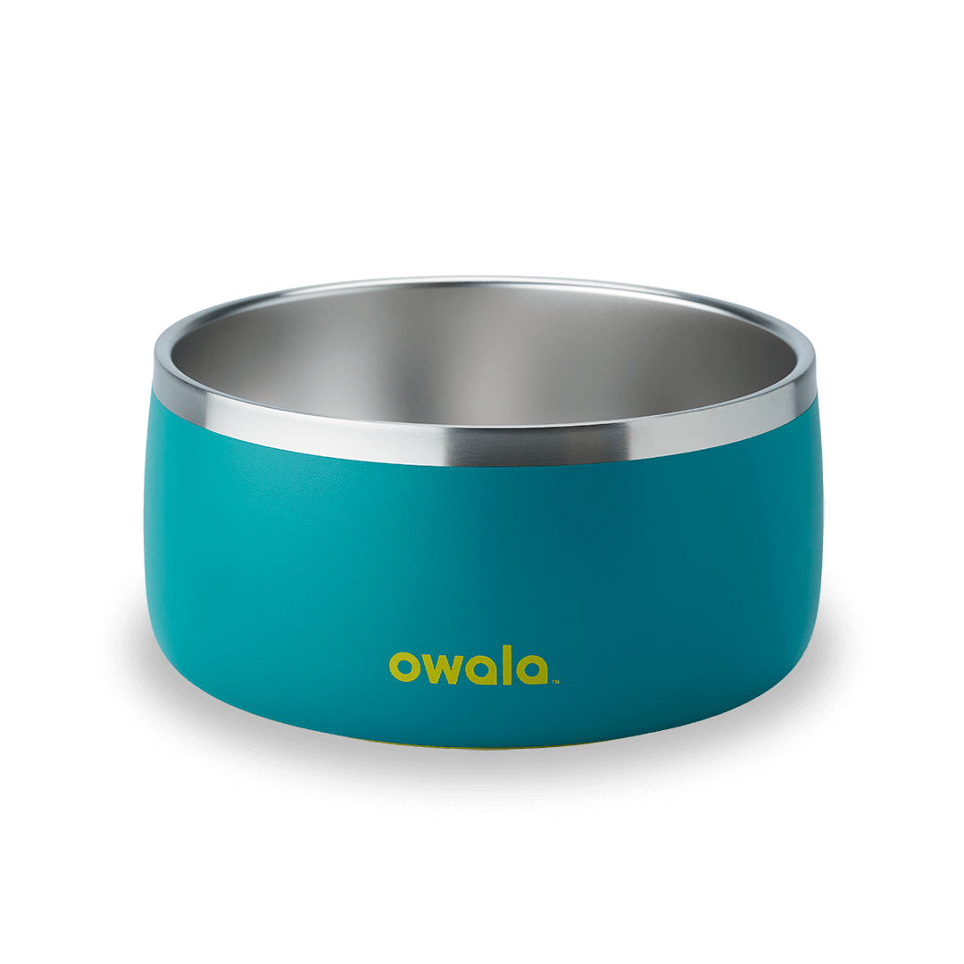 Pet Bowl Custom