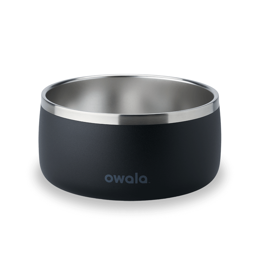 Pet Bowl Custom