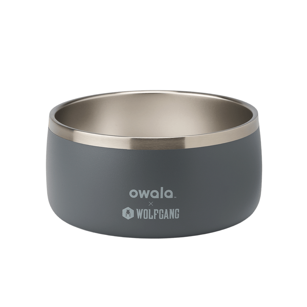 Pet Bowl Custom